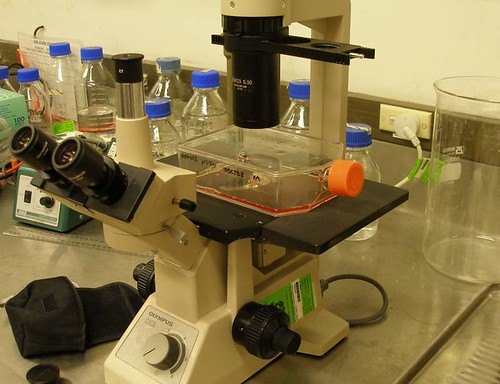 Microscope et flacon de culture cellulaire pour réviser la cytologie de l'UE2 PASS